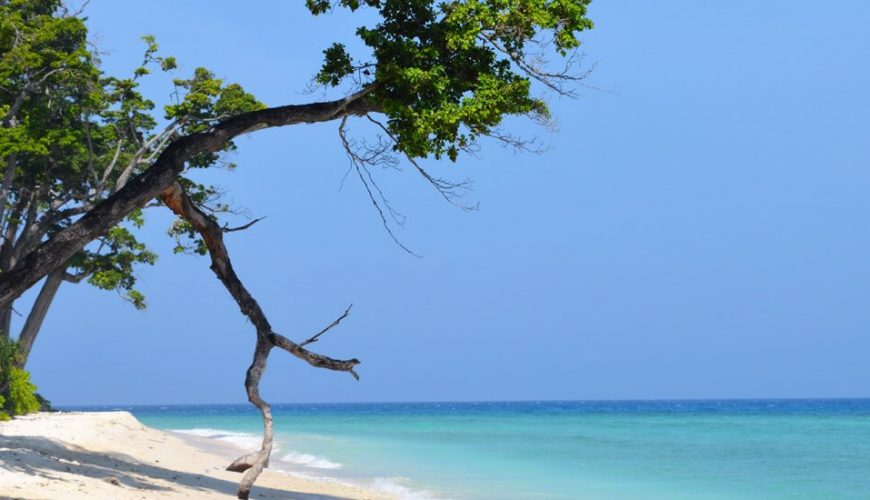 andaman-island-tour-package