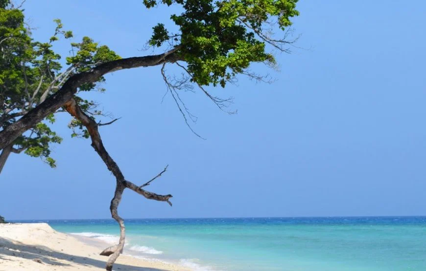 Historic Andaman Tour – 4Nights & 5Days with 1Nt Neil Island