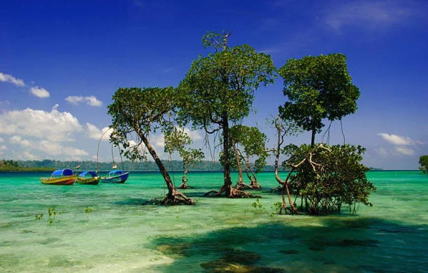 Best of Andaman Trip