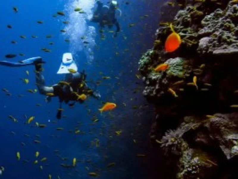 scuba-diving-andaman