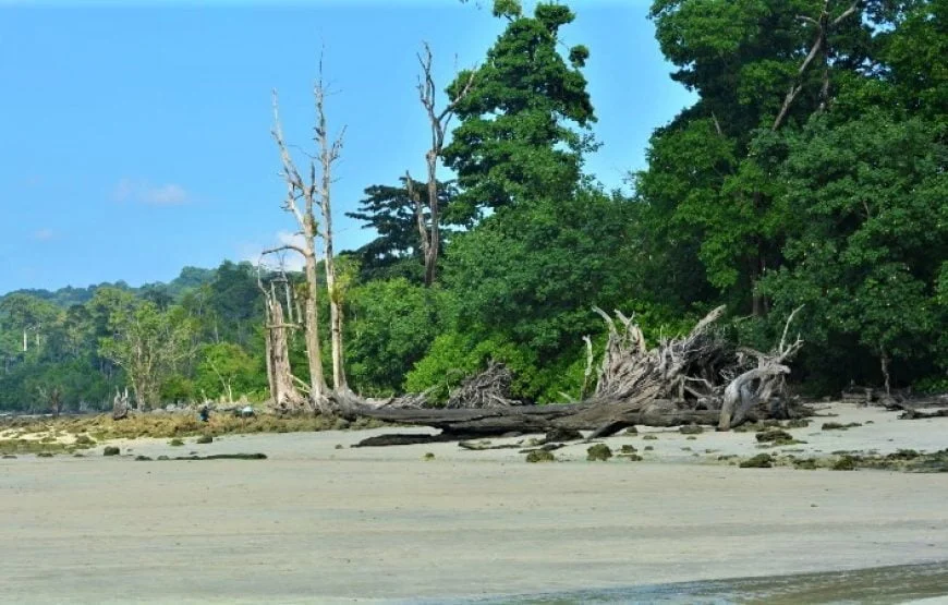 Best of Andaman Trip